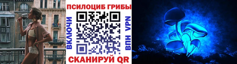 Галлюциногенные грибы Psilocybine cubensis  Задонск 
